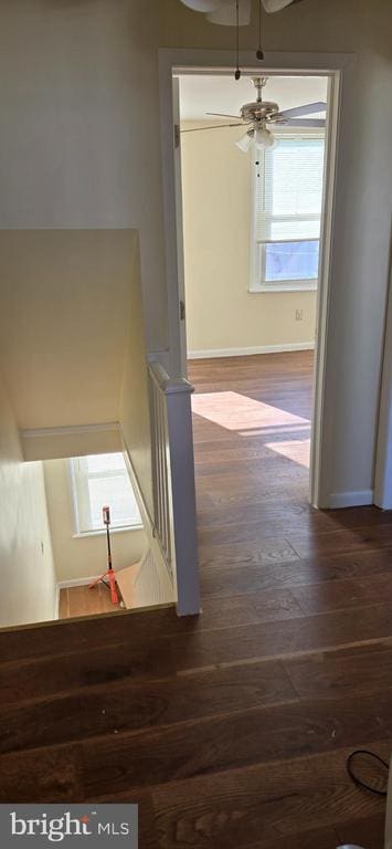 Photo - 2831 Cantrell St