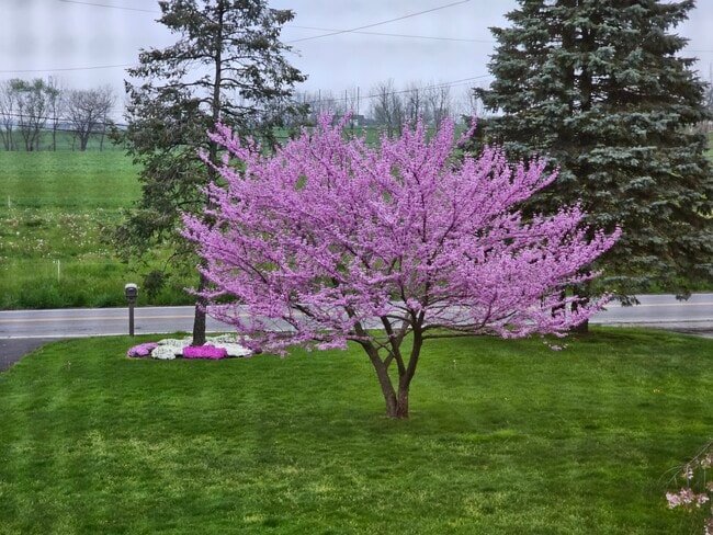 Photo - 2794 N Cherry Ln