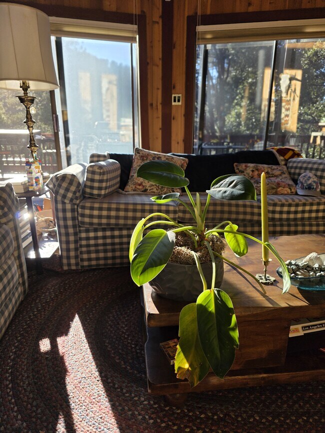 Photo - 1921 Bernina Dr