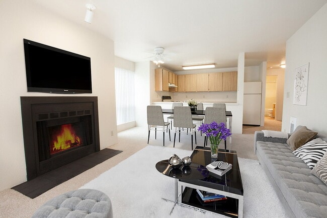 Photo - Wandering Creek