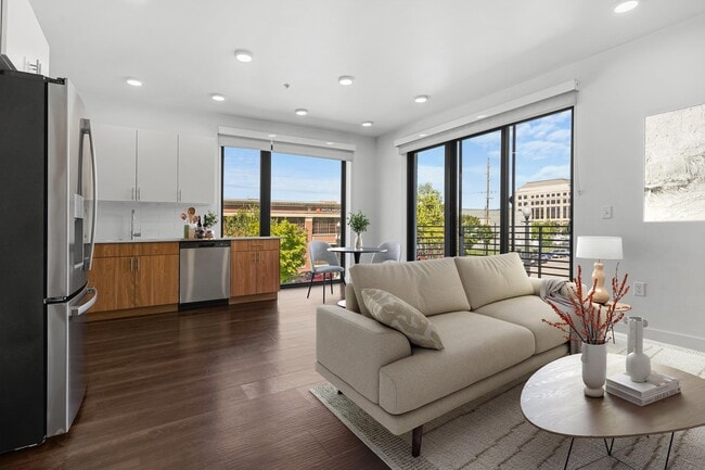 Olive - Olive Apartments