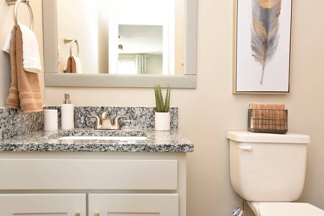 Granite Counters