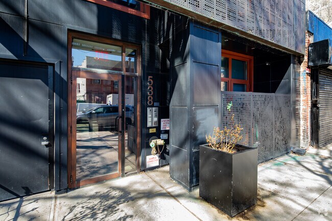 Entrance - 538 Washington Ave