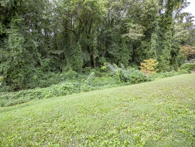 Secluded back yard that backs to Rock Creek - 612 Rock Creek Road Unit C