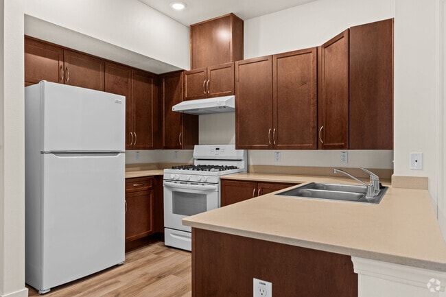 Senior Living - Kitchen