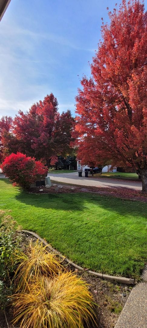 Photo - CDA Place Neighborhood- 4 bed with basement, cul de sac