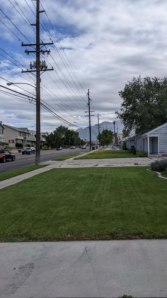 Front Yard