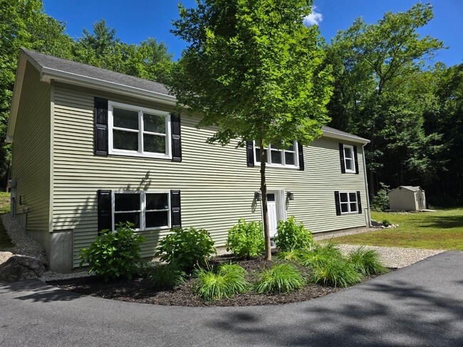 Building Photo - 311 Tandberg Trail Rental