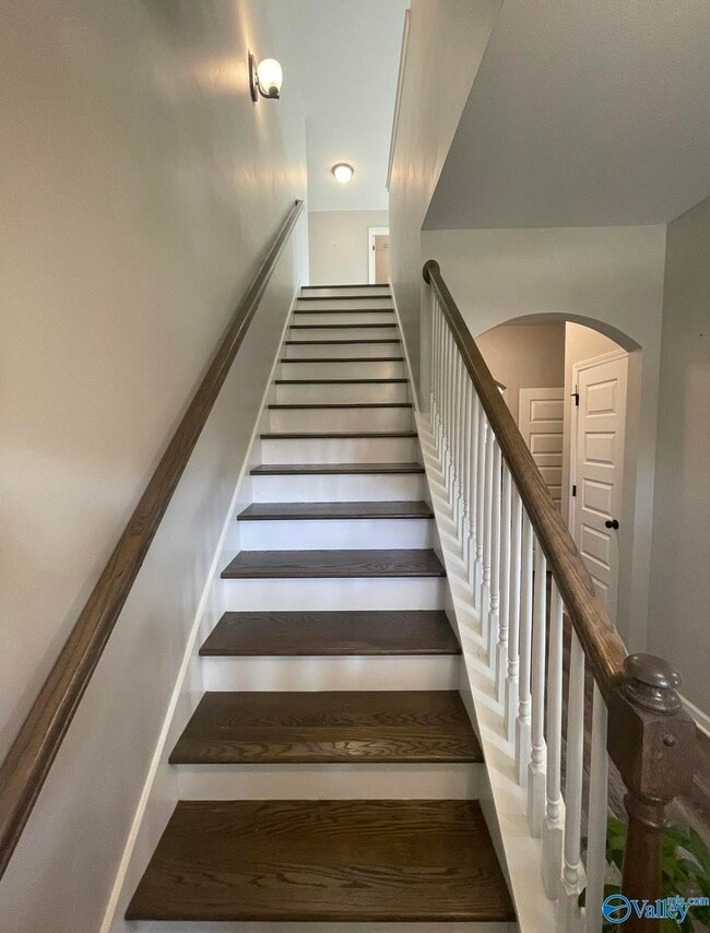 Photo - 123 Holly Fern Dr.