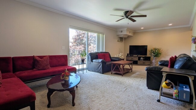 Photo - 2515 E Olive St