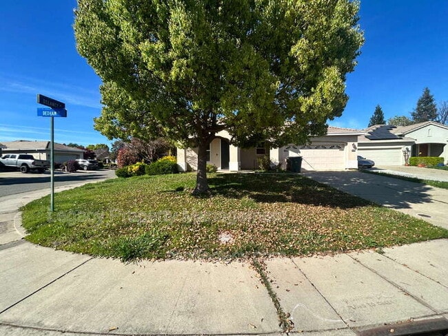 Photo - 300 Dedham Ct