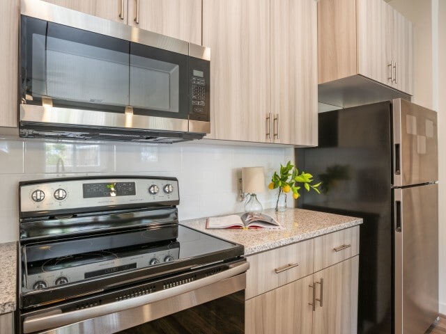 Stainless Steel Appliances