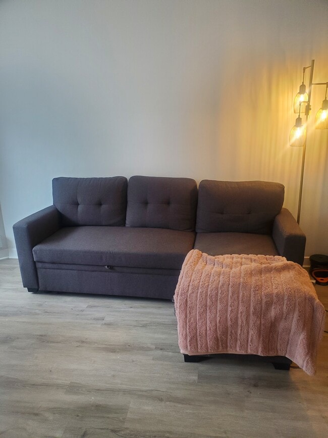 Living Room Sofa - 535 N Michigan Ave Unit 2006