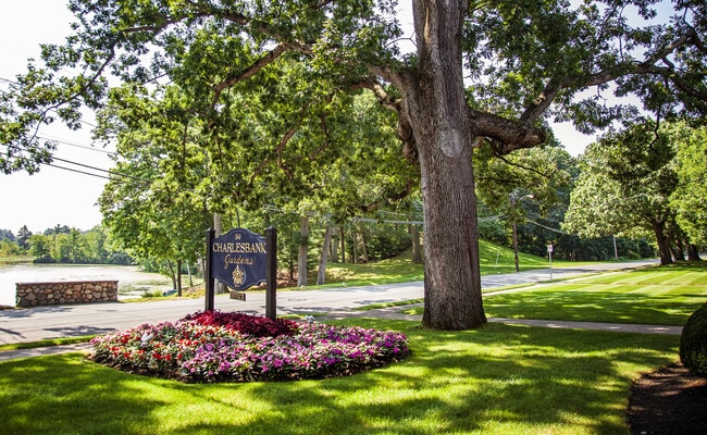Photo - Charlesbank Gardens