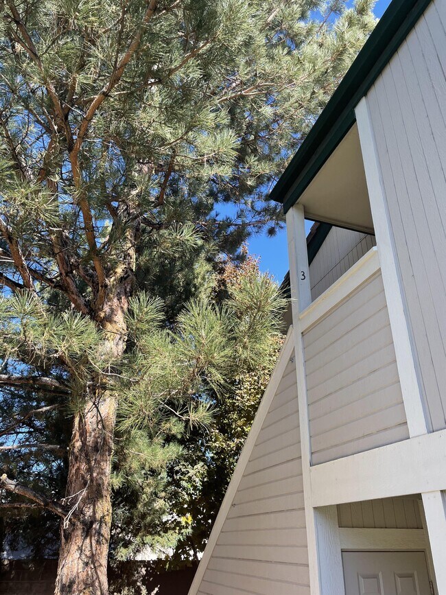 Photo - 2667 Sycamore Glen Dr