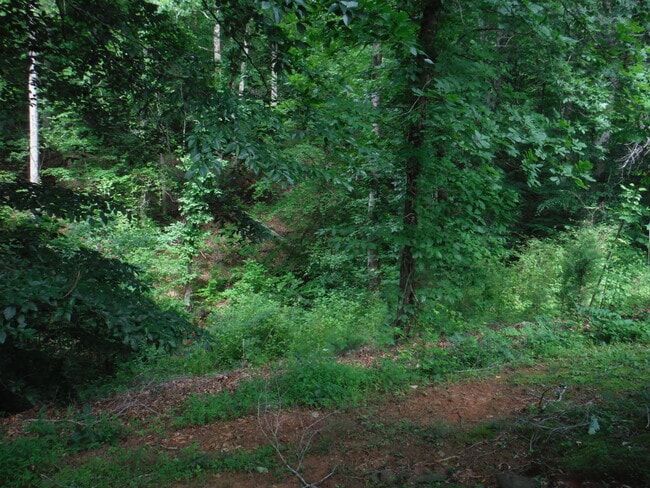 Photo - 127 John Lewis Dr