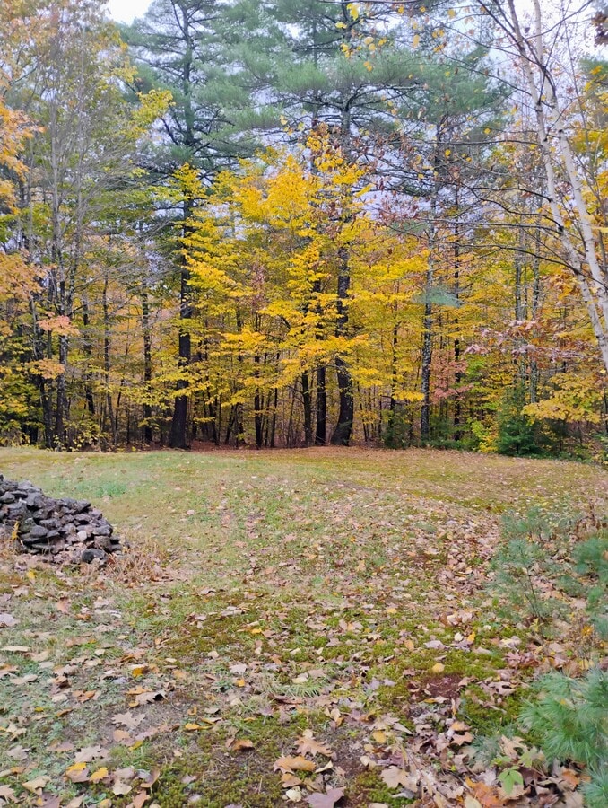 Photo - 109 Bolan Rd