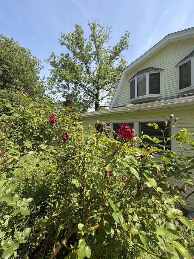 138 Leonard St