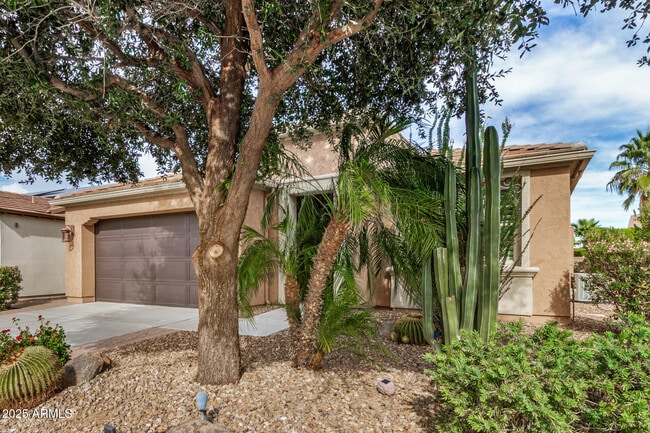 Photo - 856 E Harmony Wy