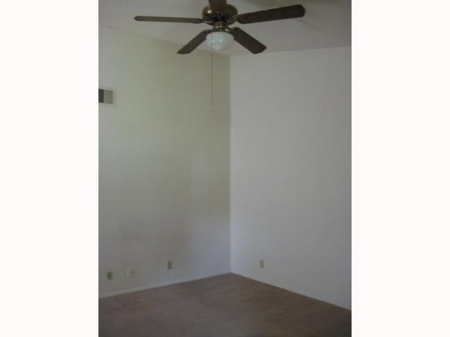 12407 Tree Line Dr