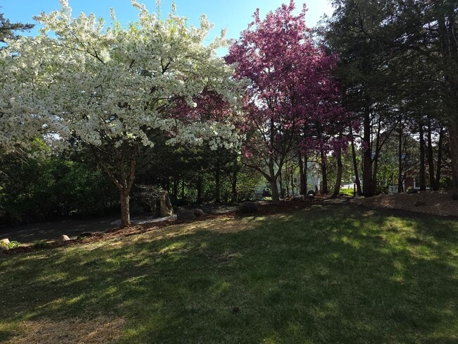 Photo - Great 4 bedroom home in Red Cedar Canyon