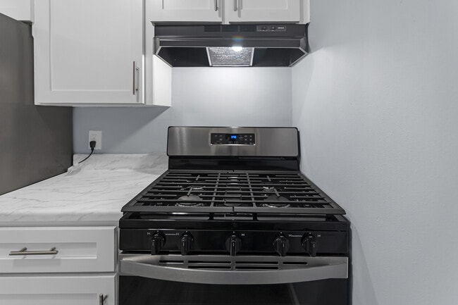 Gas Stove