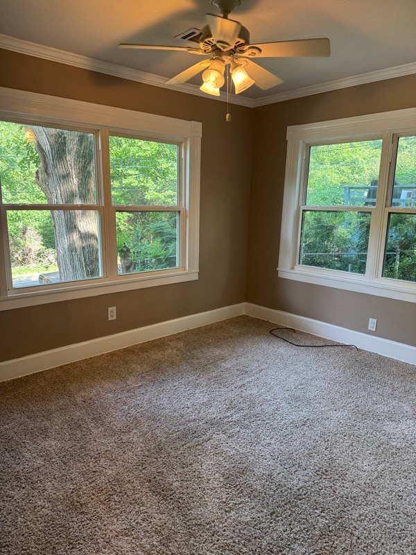 Photo - 109 Shelby St