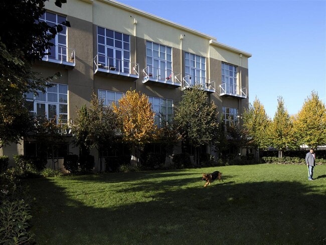 Museum Park