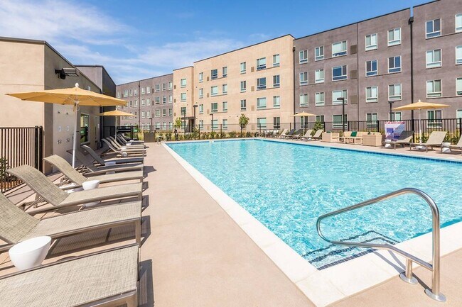 Sundeck and Swimming Pool - Hornet Commons Student Housing