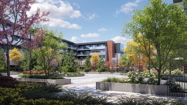 Courtyard - University Heights