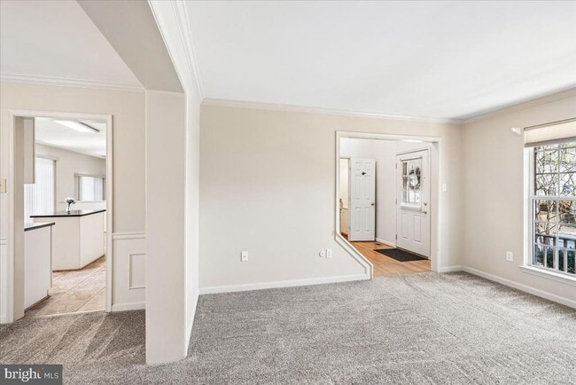 Photo - 18512 Fiddleleaf Terrace