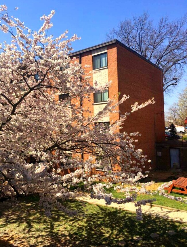 Photo - 3230 S 28th St Unit 202