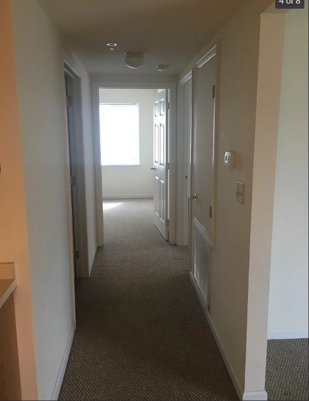 Hallway - 36-42 Culver Ave