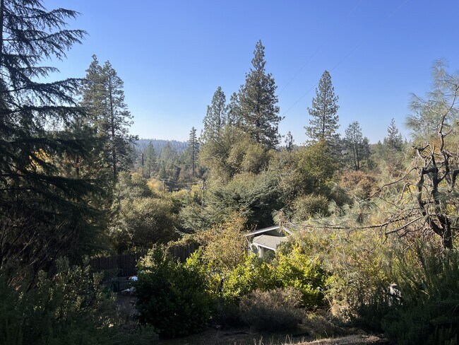 Photo - 10647 Newtown Rd