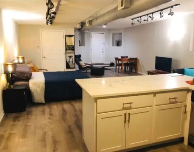 Photo - Beautiful Large Studio in the Heart of Wicker Park Unit Garden