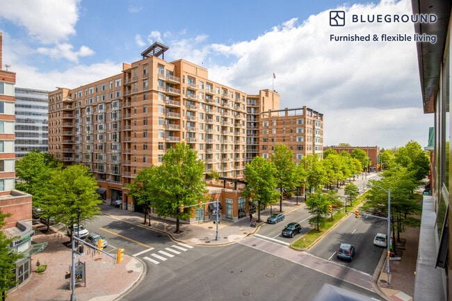 Photo - 3110 10th St N Unit FL5-ID262