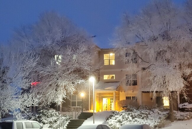 Snowscape