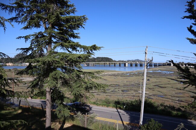 Photo - 203 Morning Sun Ave