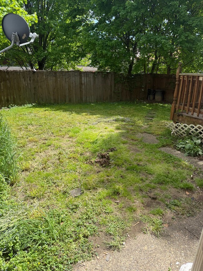 Photo - 273R Garfield St