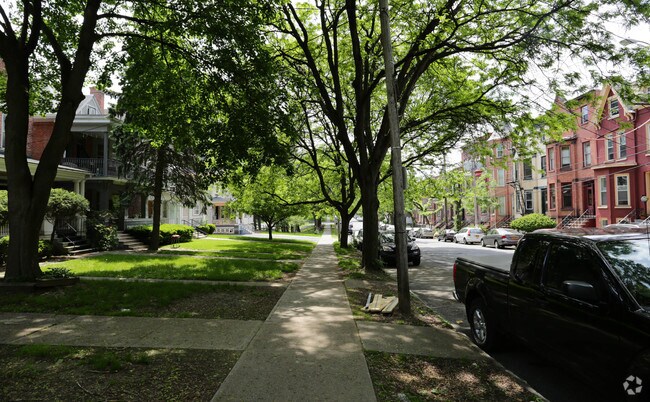 Mayflower - Mayflower