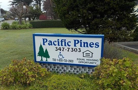 Photo - Pacific Pines