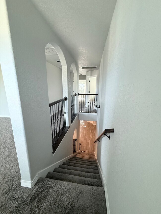 8803 Kallison Arbor