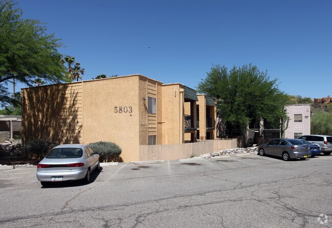 Photo - Oasis In The Catalinas