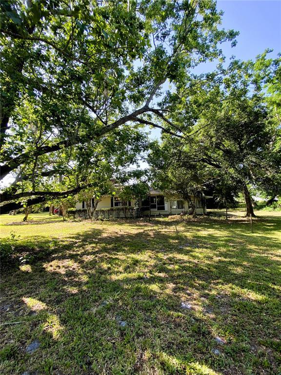 Photo - 5500 Lake Lizzie Dr