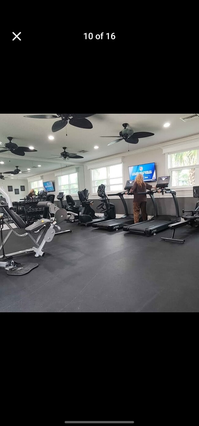 Photo - 82 Maple in the Wood