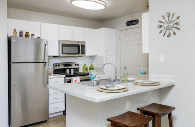 Photo - The Lory of Tallahassee