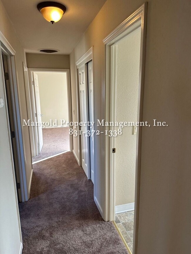 Photo - 1126 Sunnyhill Ct