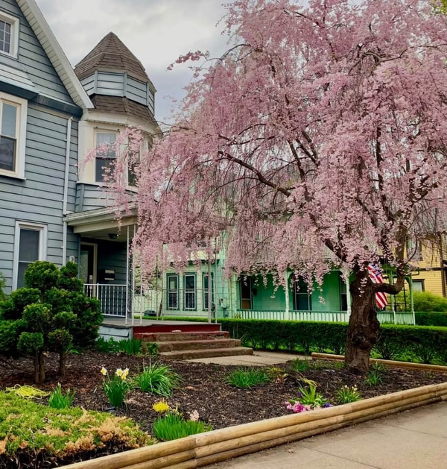 Building Photo - 307 N Main St