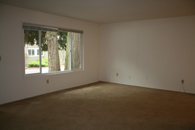 Photo - Jennifer Anne Apartments