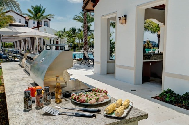 BBQ Grills